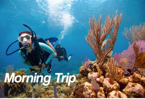 Morning 9AM - 2 Tank Boat Trip for Certified Divers (1 or 2 days) 