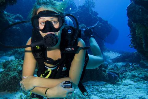 b7692b9234904d05955e942a22849300cozumel_diving_palancar_reef_scuba_life_1024x683