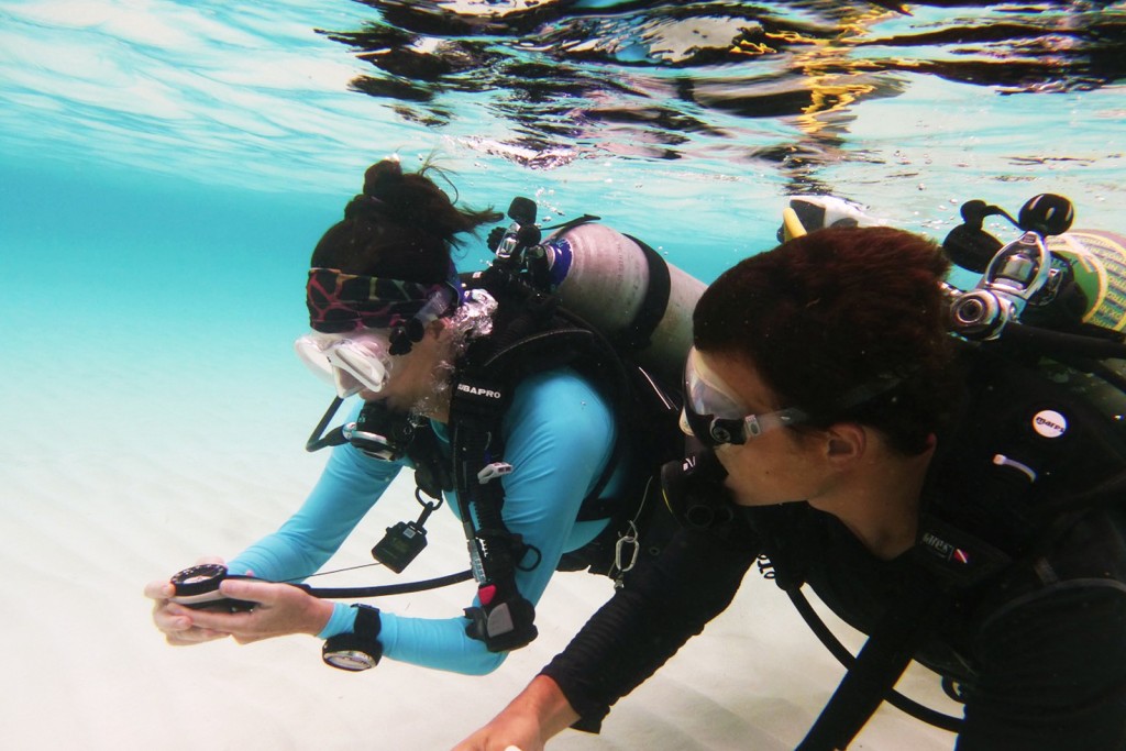 PADI Advanced Open Water Diver - eLearning Diver ( Practical portion only)