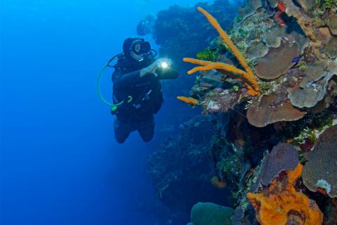 cozumel_diving_santa_rosa_wall_scuba_life_1024x683