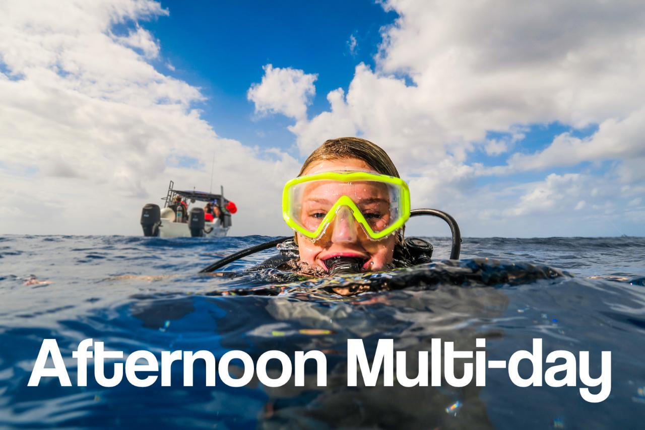 Afternoon 2 PM - Multi-day Trips for Certified Divers 