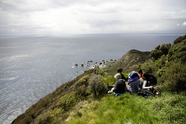 Kapiti Day Tour