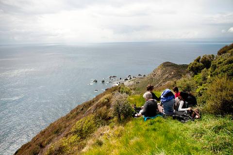 kapiti island tour from wellington