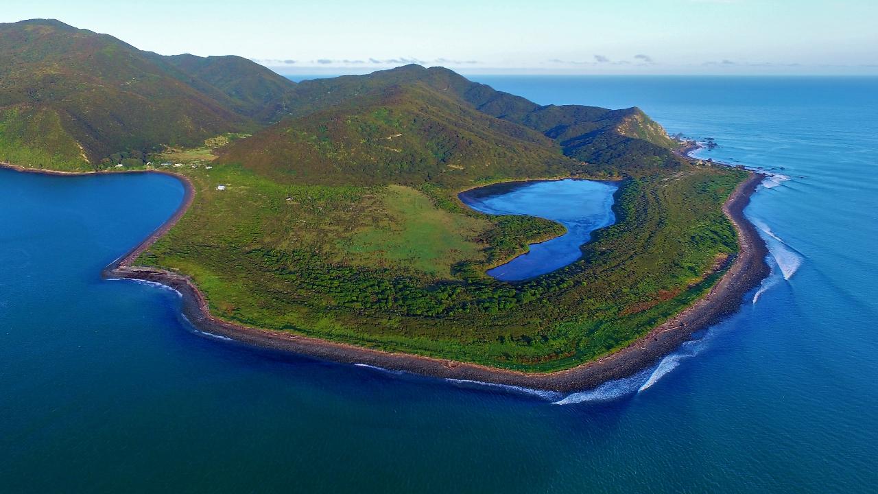 kapiti island tour