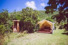 Ultimate Explorer: Kapiti Island Overnight Experience - Glamping 
