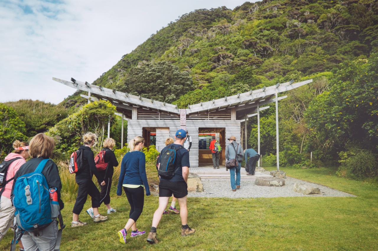 Eco-Experience: Self-guided Rangatira Day Trip