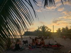 Eco Tour
