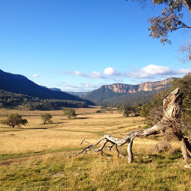 2 Day SYDNEY PANORAMAS & TRUE BLUE MOUNTAINS 