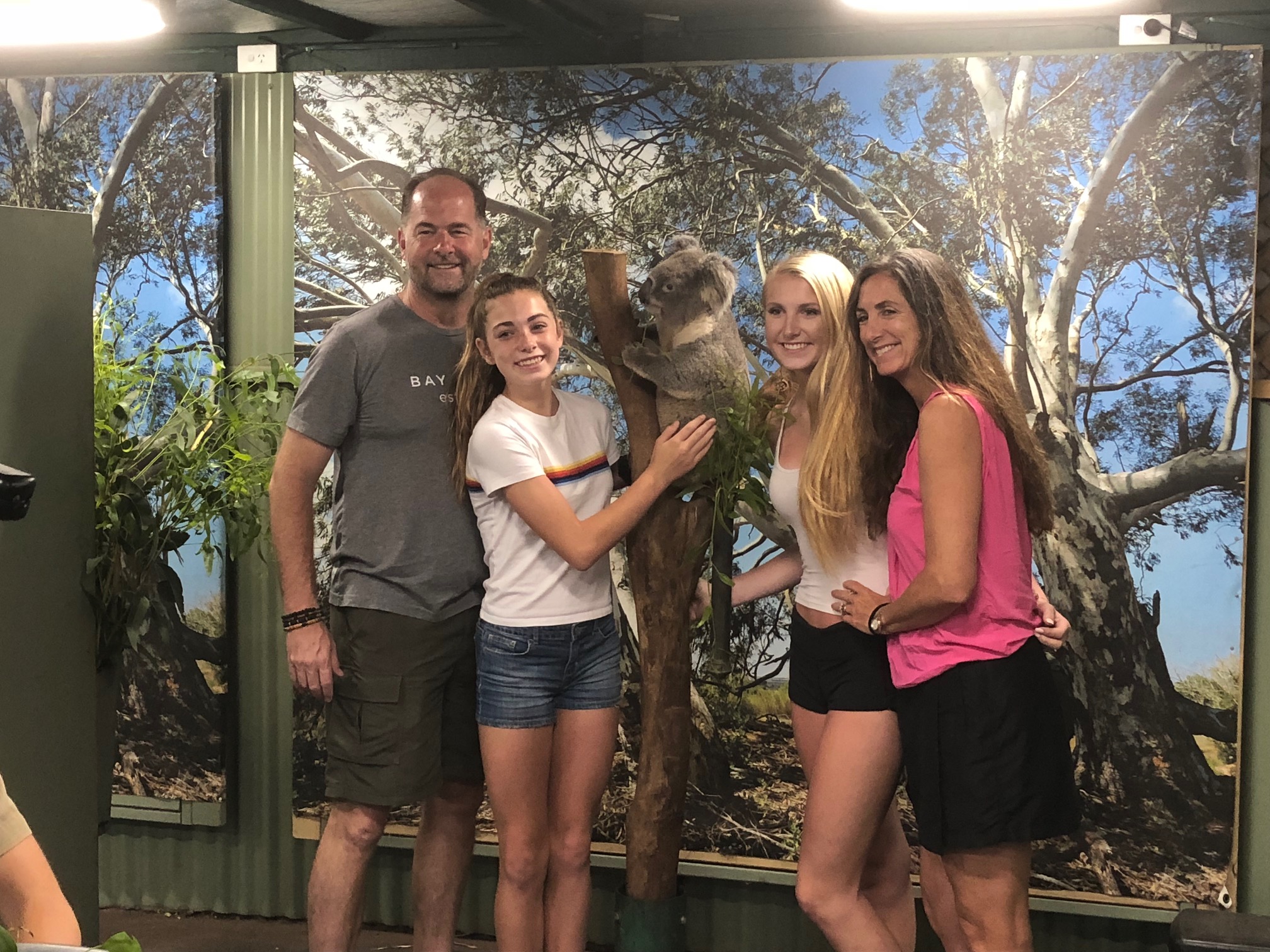 Blue Mountains Private Tour run by locals