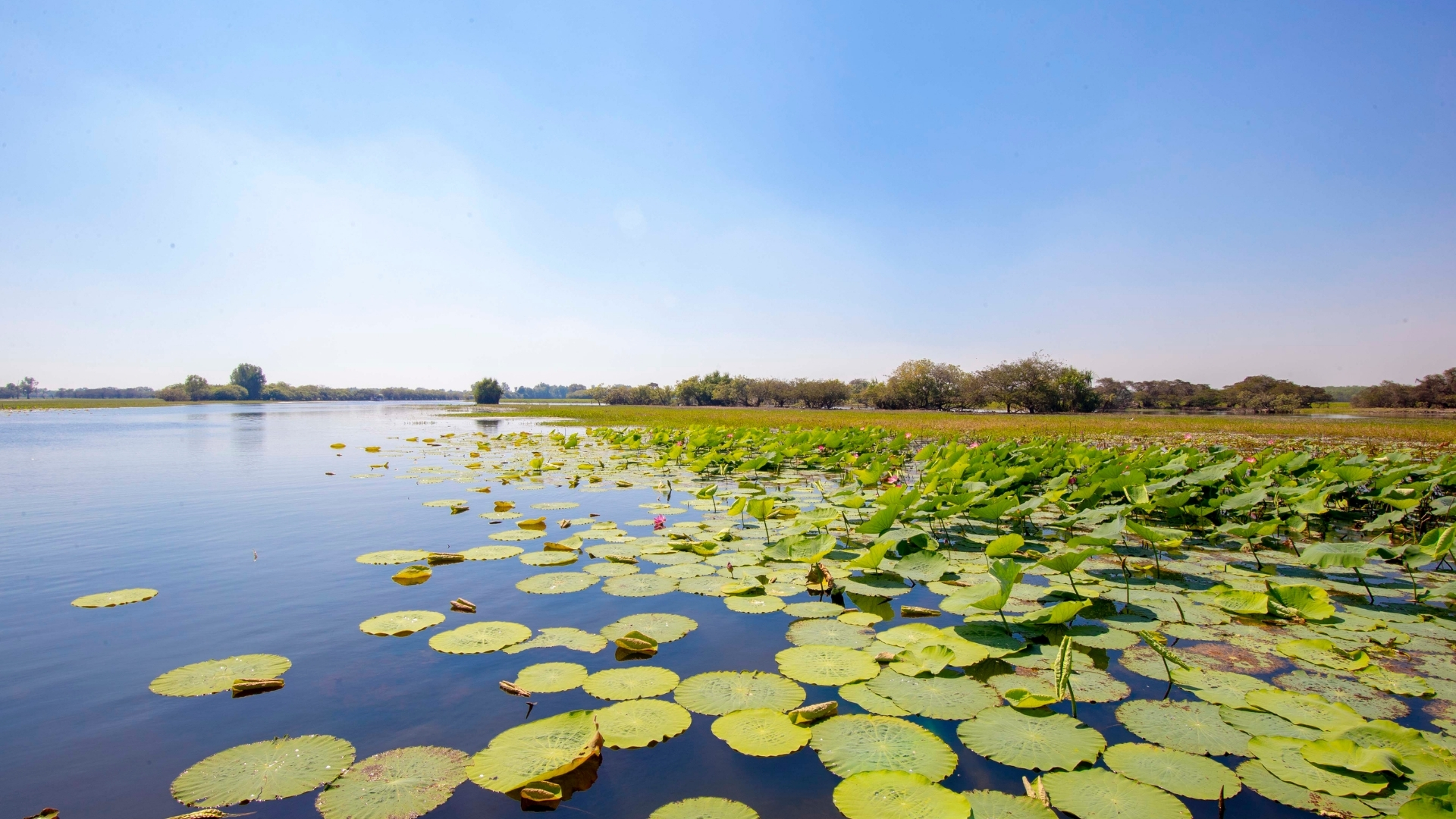 Kakadu National Park Explorer (D4)