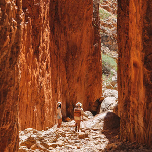 アリススプリングス満喫ツアー スタンリー・キャズム＆シンプソンズ・ギャップ(アリススプリングス発/英語/A3)