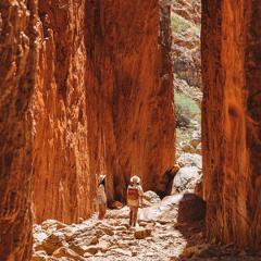 Alice Springs Highlights & Nature Escape: Standley Chasm & Simpsons Gap(A3)