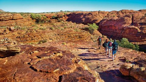 Kings Canyon Outback Panoramas Australian Day Tours