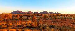 AAT Kings Uluru Sunrise & Kata Tjuta (Y14)