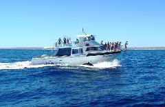 Private luxury tour, exploring the reef at your own pace - all year round. Price & availability on request.