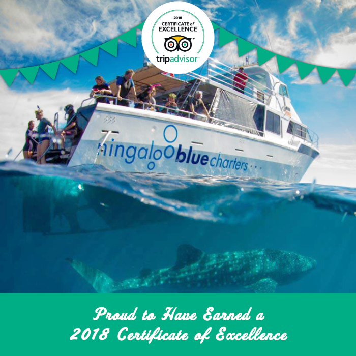Ningaloo Blue Eco Tours - From 31st August to 30th November