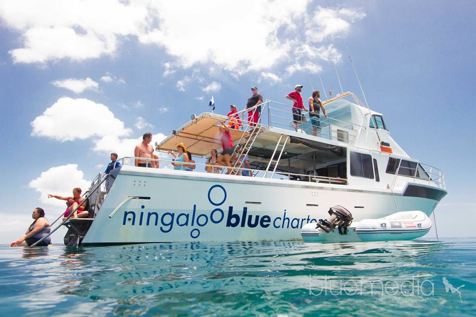 Private luxury tour, exploring the reef at your own pace - all year round. Please contact us for a price 