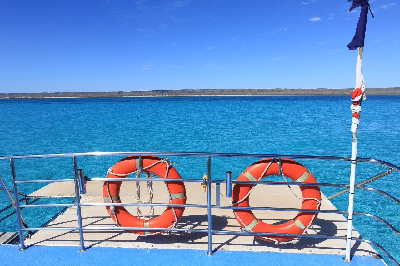 Swimming with the Whale Sharks Ningaloo Blue