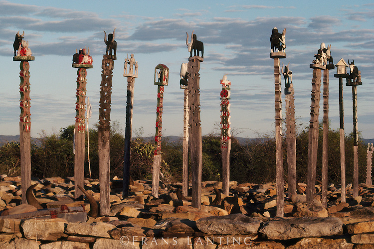 Day Tour - Tulear, Arboretum Reserve, and Museum