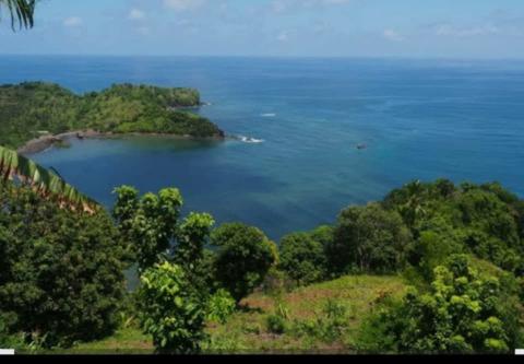 A wonderful trip to the Comoros, exploring birds and nature.