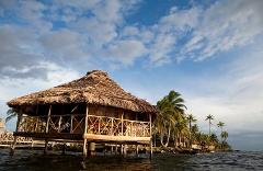 A thatched-roof stilt house sits in the water, with palm trees and a cloudy sky in the background.