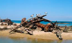 A shipwreck rests on the beach, with three birds perched on its rusted remains, set against a backdrop of a blue sky and sea.