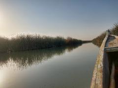 A calm river lined with tall reeds flows under a soft, light-filled sky, viewed from a weathered wooden boat.