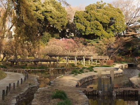 Tokyo & Kyoto Private Garden Tour: A Complete 6-Day Journey Through Japan's Most Beautiful Gardens A serene Japanese garden features a network of small waterways and wooden structures, surrounded by lush trees and early spring blossoms.