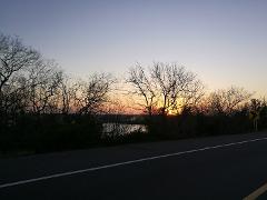 Salamanca Island Road Park Birdwatching Tour from Santa Marta A serene sunset is framed by silhouetted trees, seen from a roadside with a direction sign.