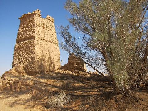 A weathered, beige-colored tower stands beside a scraggly tree under a clear blue sky, casting shadows on the desert landscape.