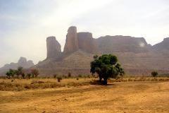 A vast, arid landscape features striking rock formations and sparse vegetation under a hazy sky, with a solitary green tree taking center stage.