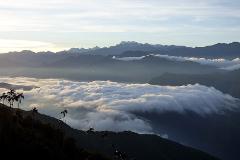 Aventura de observación de aves en Cuchilla San Lorenzo desde Santa Marta A scenic view of mountains covered in a sea of clouds, with palm trees in the foreground, under a soft, early morning light.