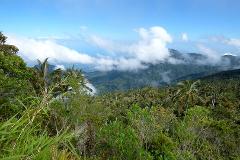 Aventura de observación de aves en Cuchilla San Lorenzo desde Santa Marta A lush, green tropical landscape with palm trees and other dense vegetation, extending into the distance towards cloud-covered mountains under a bright blue sky.