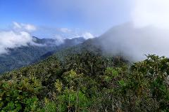 Aventura de observación de aves en Cuchilla San Lorenzo desde Santa Marta A lush, green mountain range covered in trees and vegetation is partially obscured by clouds under a blue sky.
