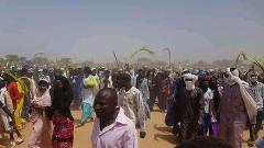 A large crowd of people, many holding up green palm fronds, are walking together in a dusty outdoor setting, possibly part of the Bianou Festival in Niger.