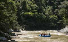 A blue raft carrying six people navigates a fast-moving, muddy river flanked by lush, green forested banks.