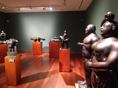 Gran Tour incluyendo Bogotá, Medellín, Nuquí y Valle del Cocora - 11 Días A museum exhibits bronze sculptures of various figures on wooden stands against a muted green wall, reflecting light on the polished wooden floor.