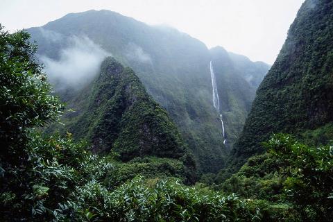 A verdant landscape with mist-covered mountains, lush vegetation, and a cascading waterfall in the Cirque of Cilaos on Reunion Island.