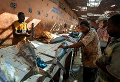 Tur privat de 3 zile în Mogadiscio (istorie, cultură și coastă) In a fish market, two men are cutting up large fish on a tile table while others look on, with numbered wall sections and a damaged roof overhead.