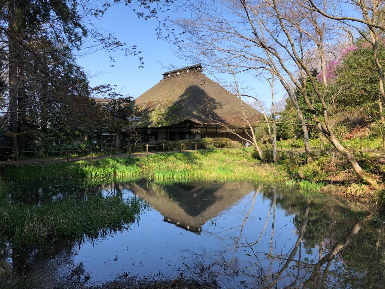 Akiyama Valley & Hidden Trails Tour – A Unique Adventure in Tokyo's Backyard