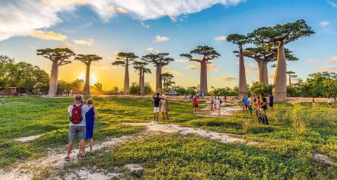 A scenic landscape with baobab trees and people enjoying the sunset.