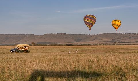 A safari adventure unfolds with two hot air balloons gracing the sky above a vast, grassy plain, where a safari jeep carries eager observers and birds roam freely.