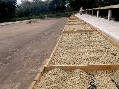 A coffee plantation displays rows of beans drying in the sun, with a worker tending to the process in the background.