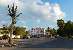 A sunny street scene with a leafless tree in the foreground, a white building in the background, and several cars parked along the road.