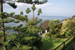 Circuit 2: DRC and Rwanda Super Circuit – 15 Days A serene view of Lake Kivu from a lush garden, showcasing a tranquil landscape with diverse flora and a calm body of water stretching to the horizon.
