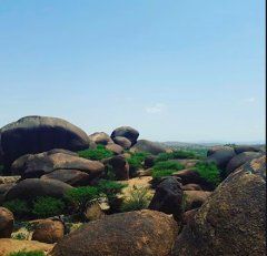 Aqui está uma descrição da imagem: Grandes pedras arredondadas estão espalhadas por uma paisagem com vegetação esparsa sob um céu azul claro, mostrando uma região rochosa na Somália.