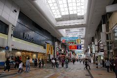 This photo shows a busy commercial street in Japan, covered by a glass roof, with many pedestrians and shops, including PARCO and McDonald's.