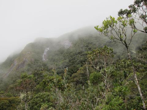 9-Day Marojejy National Park and Daraina Reserve Trekking Tour