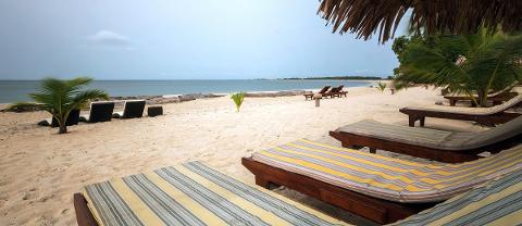 Beach chairs and palm trees line a sandy beach overlooking a calm ocean under a cloudy sky.
