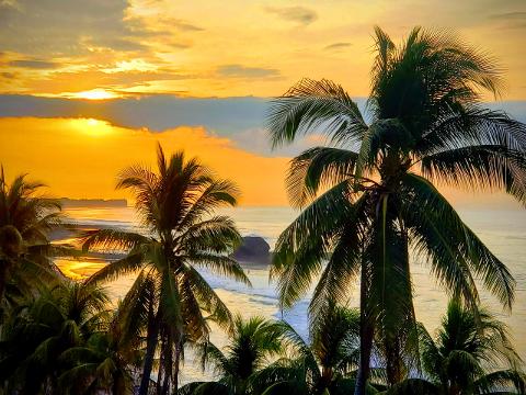 A vibrant sunset illuminates the sky and sea, framed by silhouettes of palm trees along the shore, creating a tranquil and exotic tropical scene.